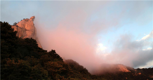 【湖北】【客户稿件】清明小长假将至 麻城龟峰山景区百花迎春引客来