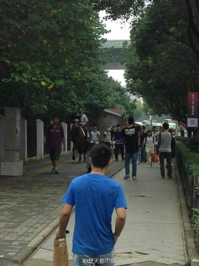 湖北男子骑马上班引围观 称路太堵天天迟到 湖北男子骑马上班引围观 称路太堵天天迟到