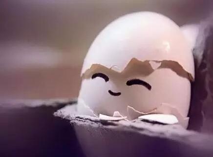 鸡蛋壳的16个妙用