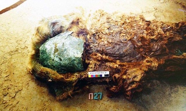 北极圈周边发现男性干尸 深埋地下800年保存完好