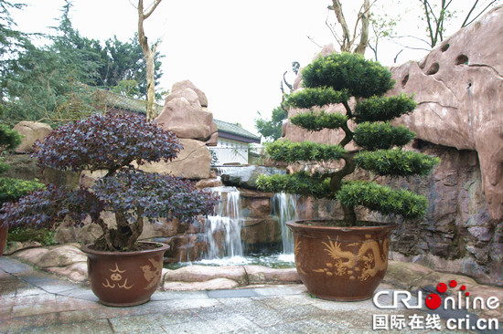 【CRI專稿 列表】重慶北碚靜觀臘梅文化節明年1月5日開幕