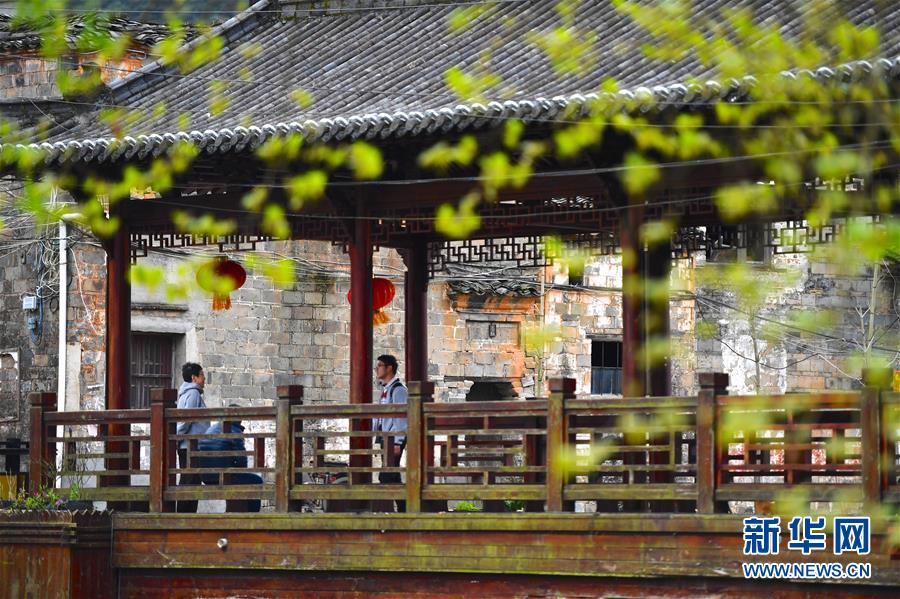 江西景德镇：瑶里春色美