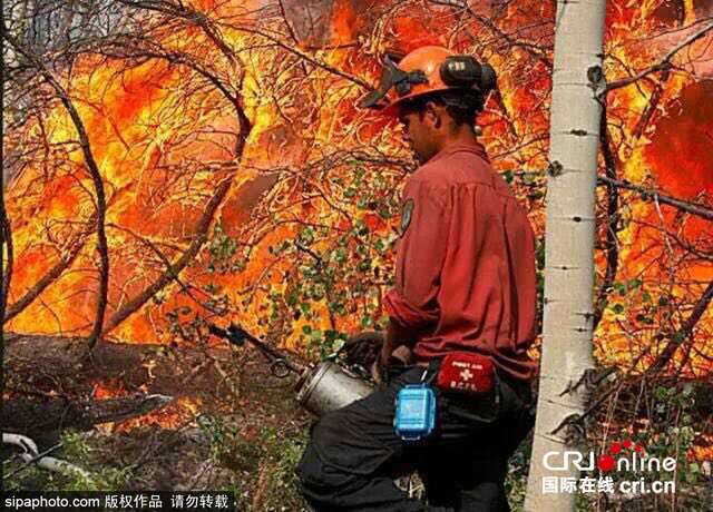加拿大森林大火火势恶化 数千人被迫撤离家园