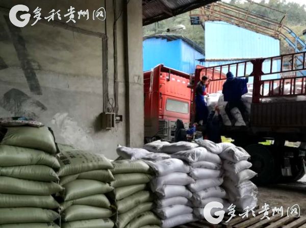 （社会）@农民朋友 贵州紧急下发农作物防冻技术要领