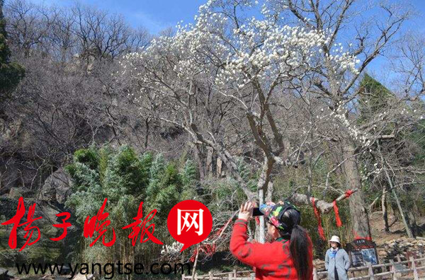 图片默认标题_fororder_3dfd84ea6070875a9eeafea23dfe2dd6