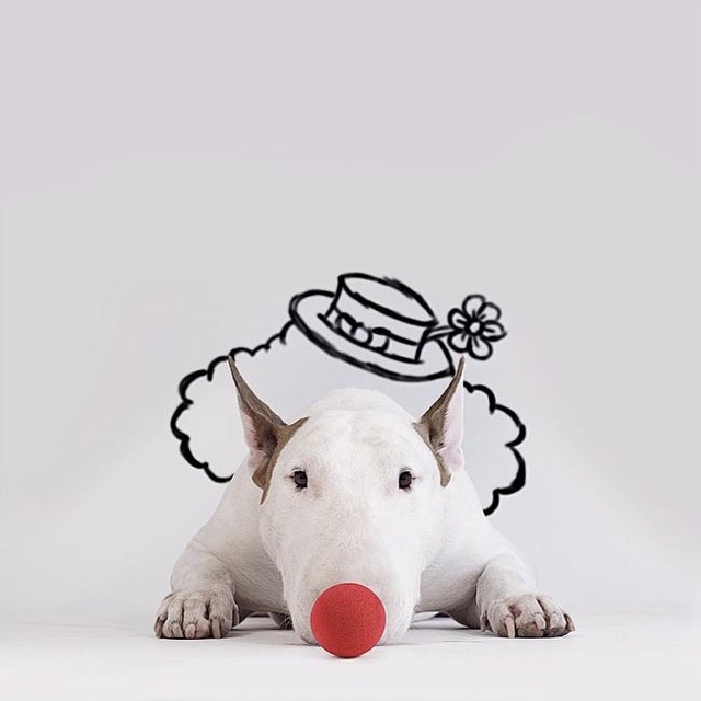 宠物狗与白墙涂鸦：巴西离婚男子神创作爆红
