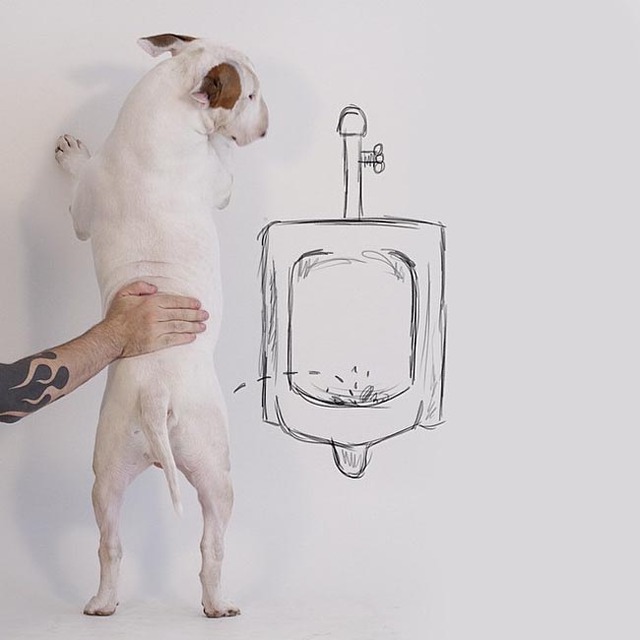 宠物狗与白墙涂鸦：巴西离婚男子神创作爆红