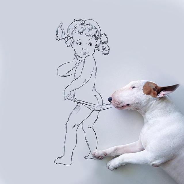 寵物狗與白墻塗鴉：巴西離婚男子神創作爆紅
