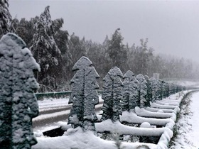 北極村迎來今年入秋的第一場雪_fororder_CqgNOlmjyGuAe4tTAAAAAAAAAAA943.899x599