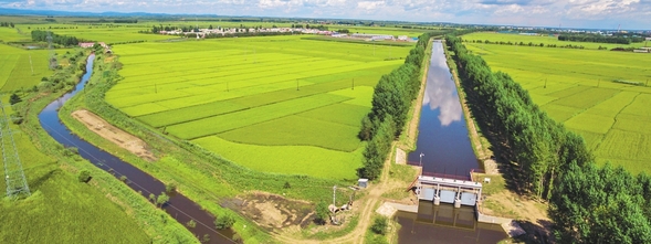 水稻节水控制灌溉一年“节”出18座大型水库