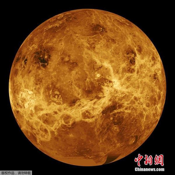 图为金星“证件照”。