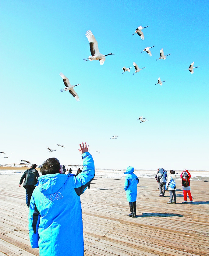 “雪地观鹤”独一无二