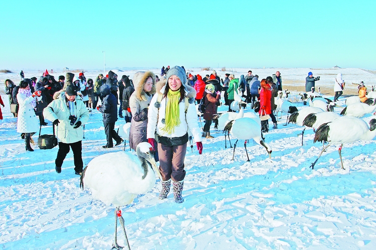 “雪地觀鶴”獨一無二