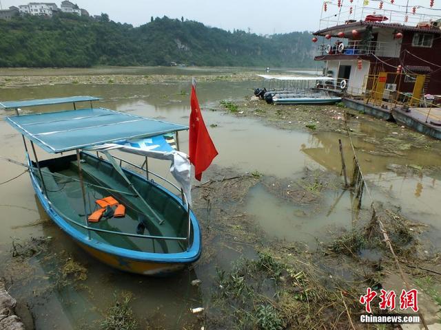 長江支流黃柏河漂浮物氾濫