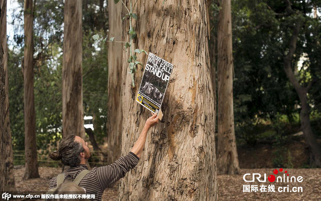 美国环保人士全裸抱树示威 抗议伐木计划