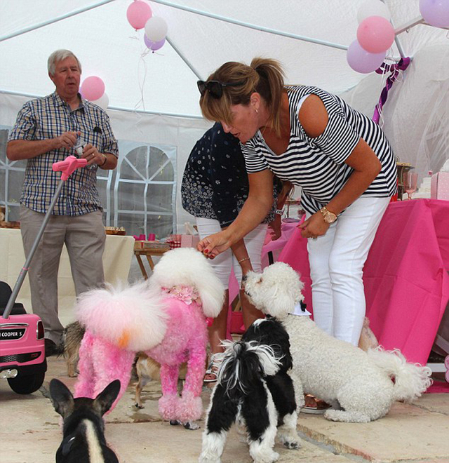 英國女子愛狗如命 花10萬元為寵物狗辦派對