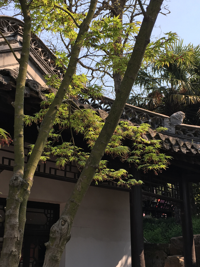 图片默认标题_fororder_3