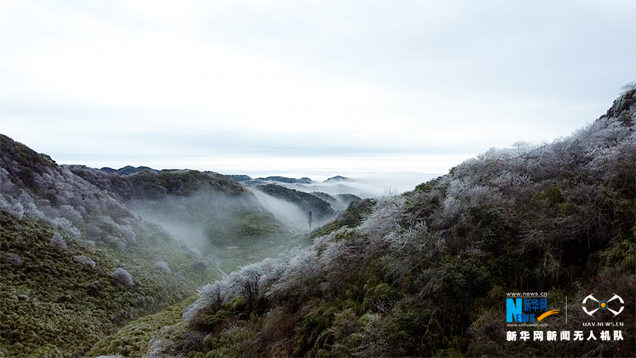重慶：金佛山漫山霧凇如畫