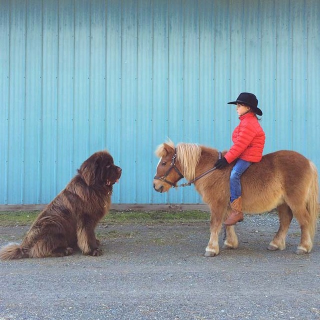 美國媽媽拍照記錄兒子與寵物狗小馬一起成長溫馨瞬間