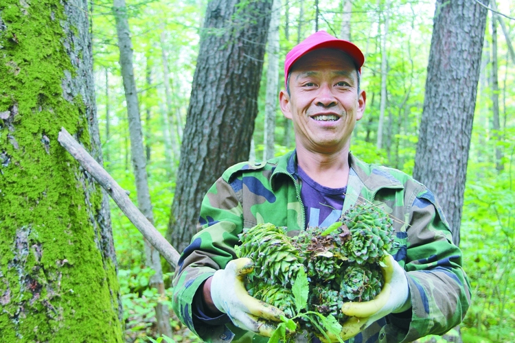 龙江森工集团森林植保带来万千红利