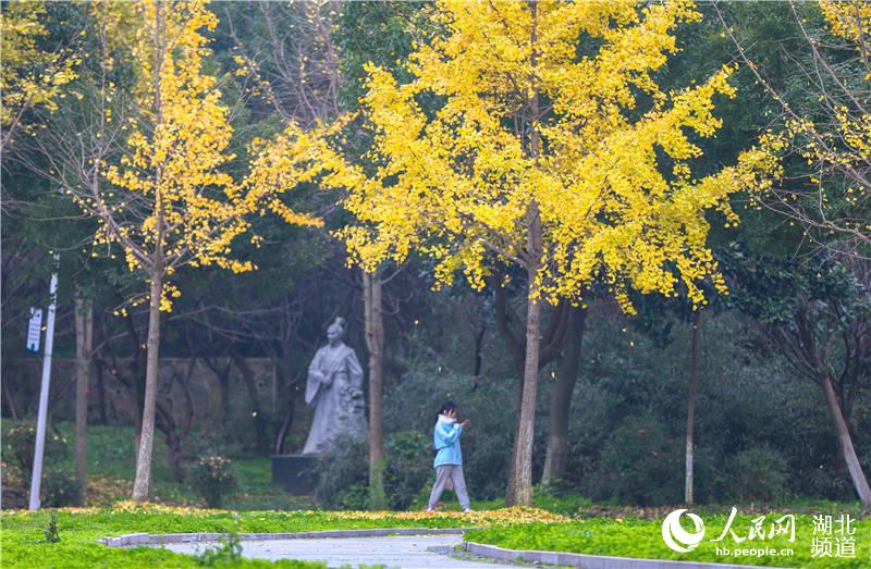 湖北襄阳：多彩冬日校园 绚烂景色如画