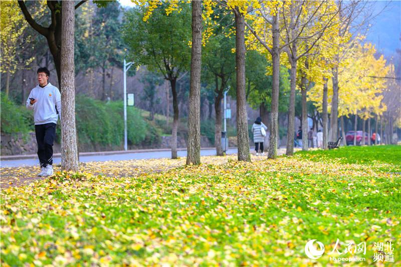 湖北襄阳：多彩冬日校园 绚烂景色如画