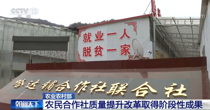 农业农村部：全国农民合作社质量提升改革取得阶段性成果