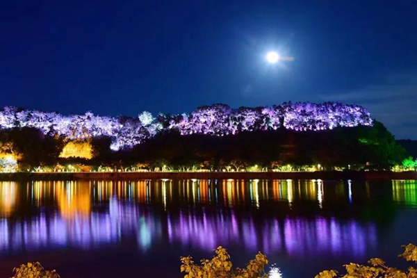 乐山市市中区：为“夜”掌灯 打造“不夜”嘉州城