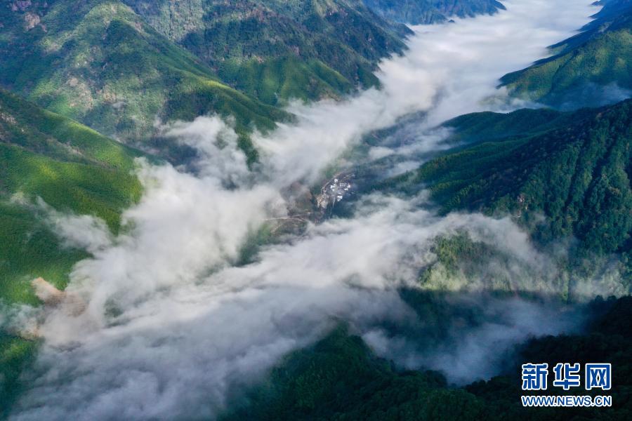 雲遮霧繞的武夷黃岡