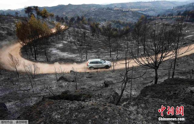 巴塞罗那附近发生严重山火 1200公顷土地遭毁
