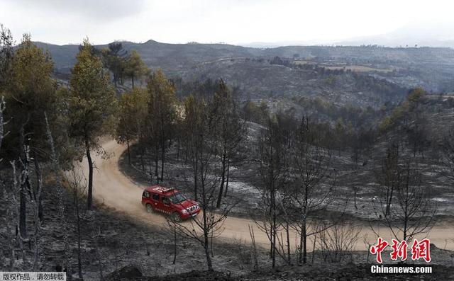 巴塞罗那附近发生严重山火 1200公顷土地遭毁