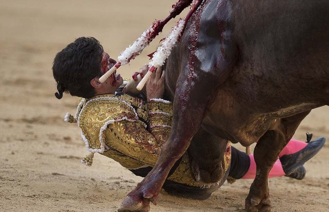 西班牙斗牛士被牛角挑到空中刺中脖子 满脸鲜血