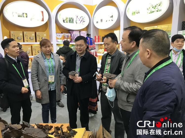柳州融水灵芝亮相十八届中国国际农产品交易会