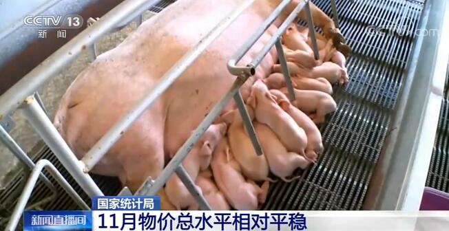 国家统计局:11月物价总水平相对平稳 工业生产稳定恢复