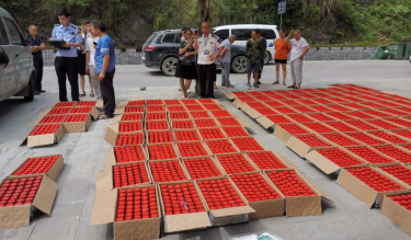 重慶雲陽警方破獲一起特大生産銷售假冒偽劣農藥案