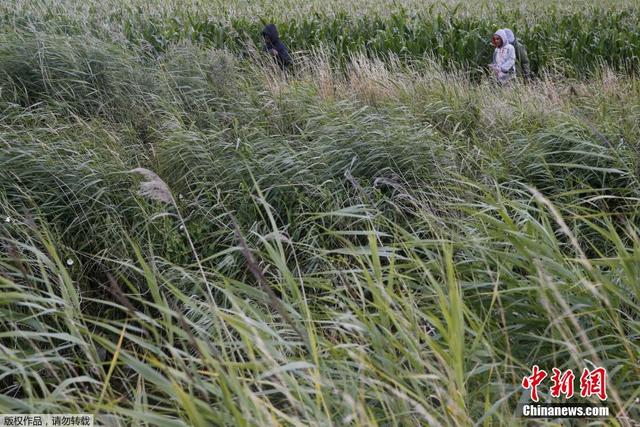 數千偷渡者衝擊英法海底隧道 沿鐵路前往英國