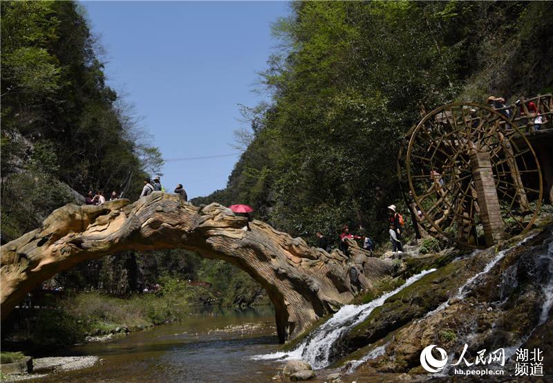 湖北保康：清明出遊樂享假日