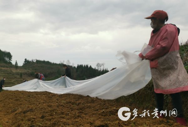 （社會）貴州思南：64名農技專家服務護航春耕生産