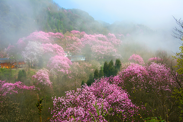 2020李白故里文化旅游节新闻发布暨文旅推介会在重庆举行