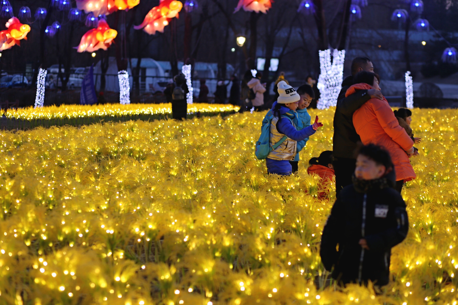 100余组特色彩灯春节期间亮相沈阳世博园