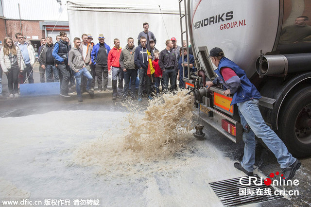 比利时农民倾倒牛奶 抗议奶制品价格下跌