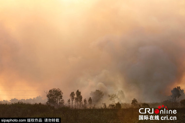 印尼南苏门答腊爆发森林大火 森林火灾呈每日增加趋势