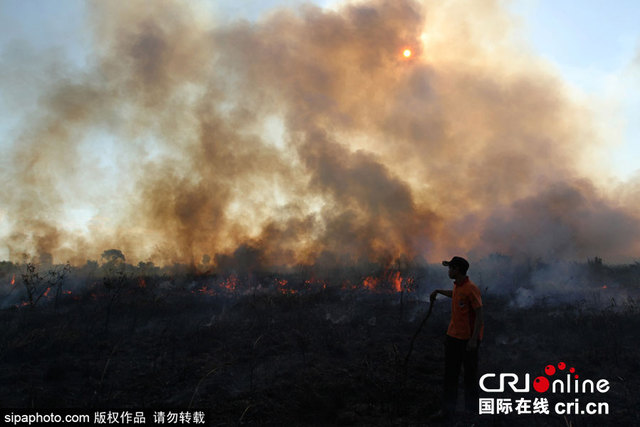 印尼南苏门答腊爆发森林大火 森林火灾呈每日增加趋势