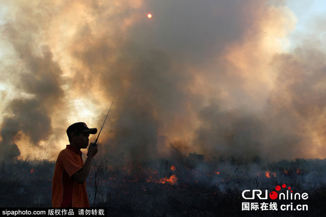 印尼南苏门答腊爆发森林大火 森林火灾呈每日增加趋势