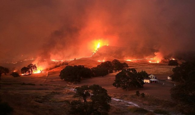 美国加州森林大火持续超一周 系男童玩火引发