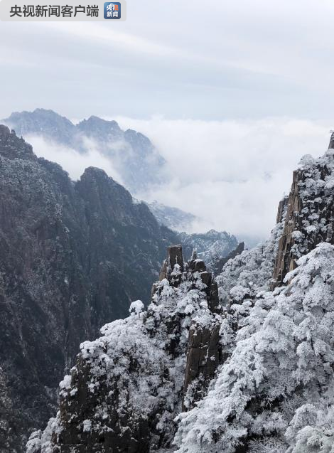 黄山下雪了!赏寒林雪景图