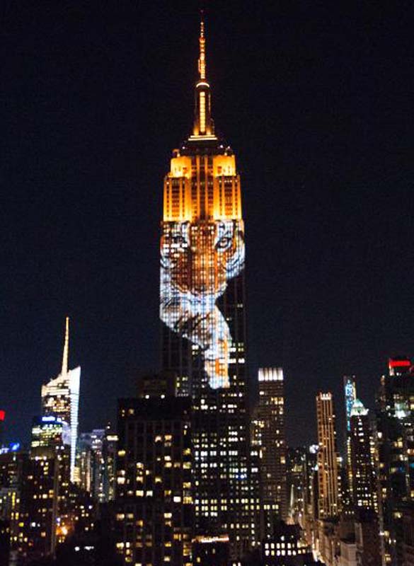 紐約帝國大廈展示瀕危動物巨幅投影 包括被殺非洲獅王