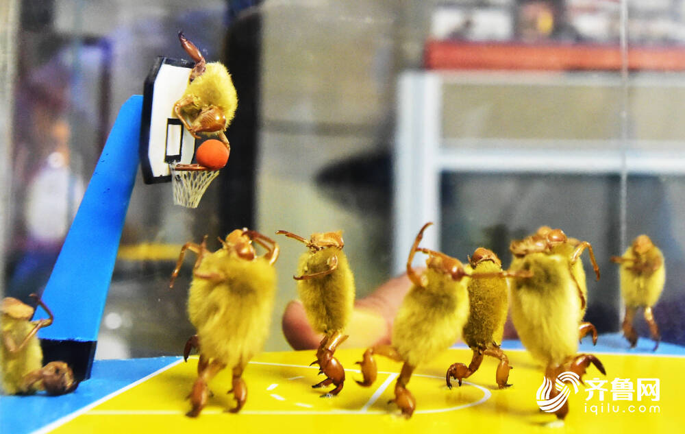 济南非遗产传人“毛猴杨”：融入面塑纸雕技艺，用毛猴复现老济南的旧日烟火气