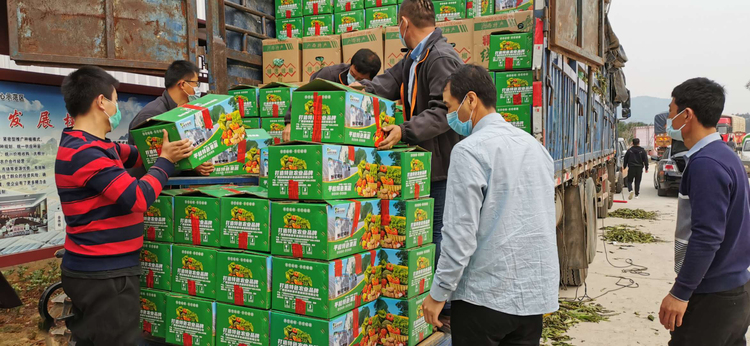 广西贺州：“菜篮子”出动 123吨果蔬驰援湖北十堰市