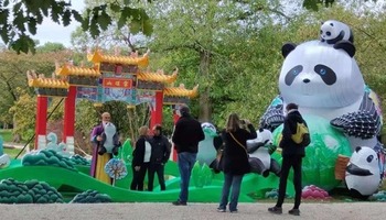 Les lanternes de pandas de Ya'an illuminent le bourg français_fororder_5